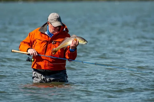 Miniatura 6 de Temple Fork Outfitters Cañas giratorias Tactical Inshore Series - Nuevo 2022, azul