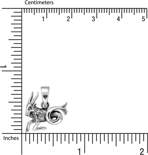 Miniatura 5 de WithLoveSilver - Colgante de plata de ley 925, horóscopo del zodiaco, signo de Capricornio, la cabra marina (22 de diciembre al 20 de enero), Plata