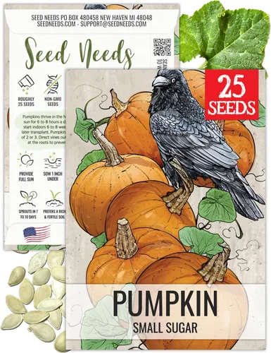 Seed Needs Semillas de calabaza para plantar calabazas pequeñas de tarta de azúcar, semillas de verduras sin OMG y sin tratar para plantar un huerto