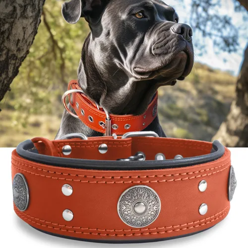 Miniatura 22 de Collar de cuero para perro, 2 pulgadas de ancho, collares de cuero genuino resistente, hecho a mano, suave y lujoso, la mejor opción llamativa