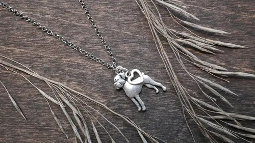 Miniatura 62 de Collar de raza de perro Grupo A