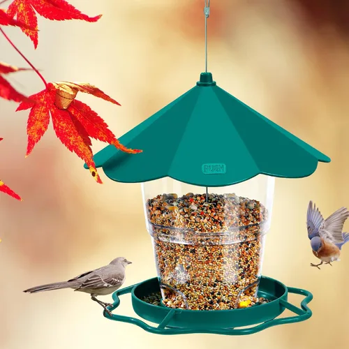 Miniatura 6 de Hanizi - Comederos para pájaros silvestres, comedero colgante a prueba de ardillas, comederos para pájaros al aire libre con semilla para pájaros