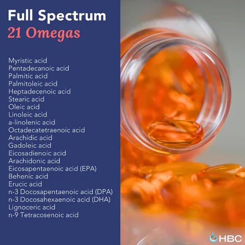 Miniatura 9 de Aceite de pescado Omega 3 de alta resistencia, 1000 mg, aceite de salmón noruego con EPA y DHA, sin eructos ni regusto, suplemento de ácidos grasos