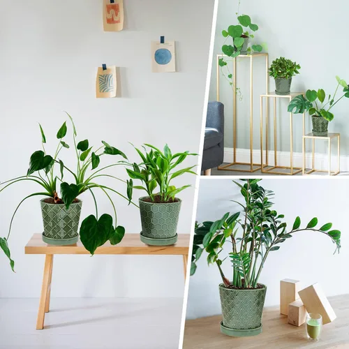 Miniatura 4 de Macetas de cerámica EFISPSS, macetas de 5 pulgadas con agujeros de drenaje y bandeja de cerámica, diseño en relieve para plantas de flores, set