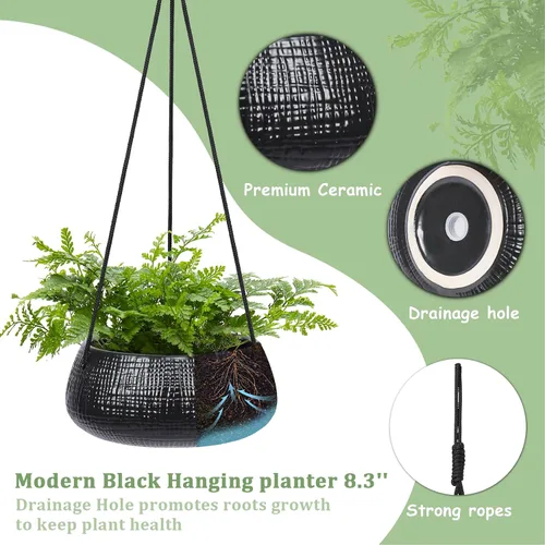 Miniatura 2 de Macetas colgantes de 8 pulgadas para plantas de interior, pequeñas macetas colgantes con agujeros de drenaje, macetas redondas de cerámica
