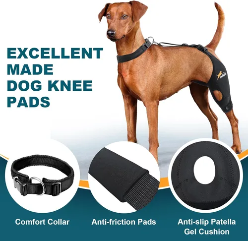 Miniatura 5 de Rodillera para perro para pierna trasera desgarrada del ligamento cruzado anterior, soporte para luxación de rótula u osteoartritis, lesiones