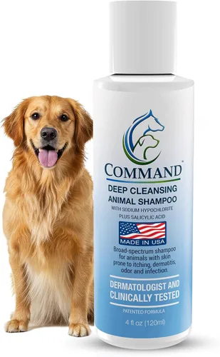 Champú medicado hipoalergénico para perros con ácido salicílico, piel y cabello sensibles, con picazón y lavado y eliminador de olores (4 onzas)