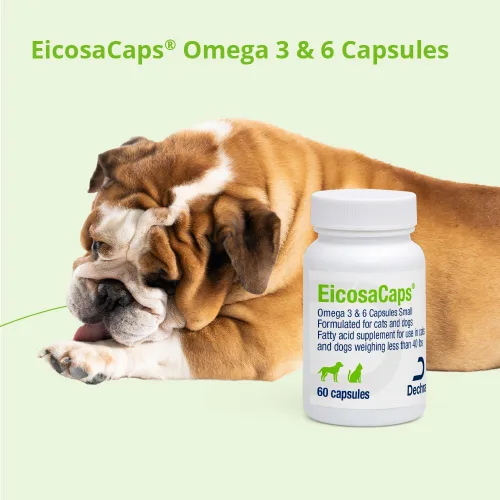 Miniatura 6 de EicosaCaps Omega 3 y 6 para perros y gatos de menos de 40 libras, 60 cápsulas