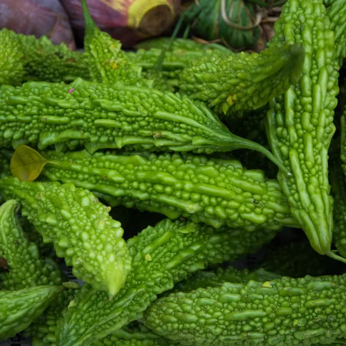 Miniatura 2 de 20 semillas de verduras de melón amargo, semillas de calabaza amarga para plantar al aire libre (largas)