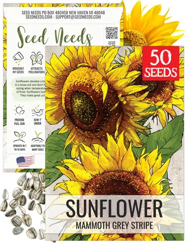 Miniatura 26 de Seed Needs Semillas de girasol para plantar girasoles de manchas solares enanas, semillas de flores de corte anual de polinización abierta