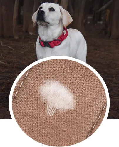 Miniatura 7 de Collar táctico para perro, collar ajustable de nailon para entrenamiento militar con mango de control y hebilla de metal pesado para perros medianos