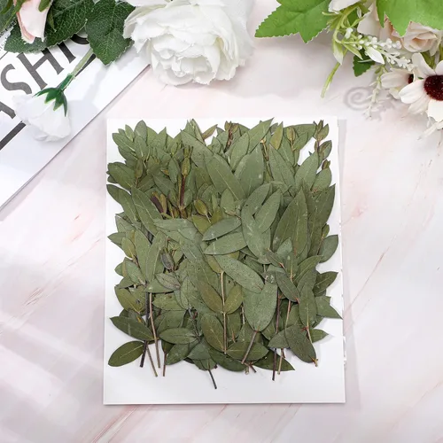 Miniatura 7 de Tigeen El juego de 100 envolturas de invitaciones incluye chaquetas de vellum preplegadas para invitaciones de 5 x 7 pulgadas, hojas de eucalipto