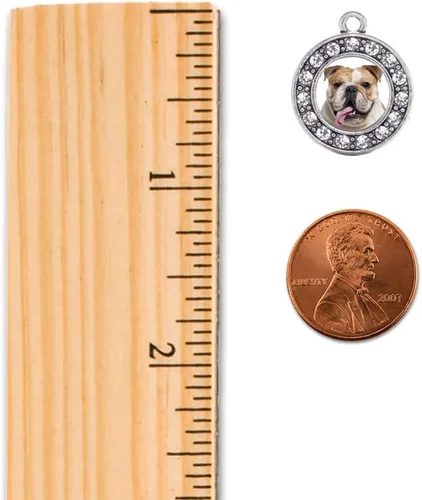 Miniatura 2 de Inspired Silver - Pendientes colgantes de gancho francés con dije de círculo de plata con joyas de circonita cúbica