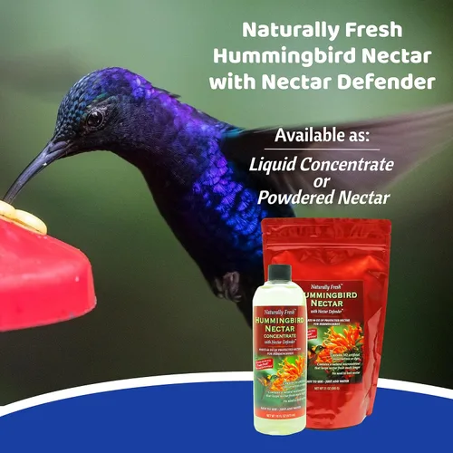 Miniatura 5 de Néctar de colibrí naturalmente fresco con defensor de néctar, concentrado de néctar de colibrí transparente, hace 64 onzas