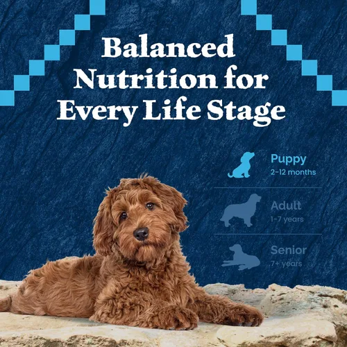 Miniatura 7 de Blue Buffalo Wilderness Puppy - Alimento seco para perros con alto contenido de proteínas con pollo real, sin granos, fabricado en los Estados