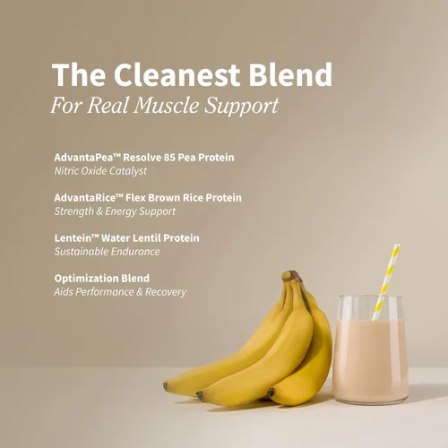 Miniatura 3 de Snap Supplements Polvo de proteína vegana orgánica a base de plantas en polvo de proteína que aumenta el óxido nítrico, aminoácido BCAA