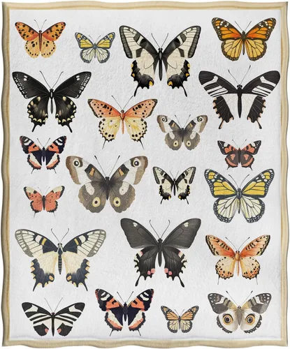 Miniatura 3 de Jekeno Manta de Mariposas Coloridas Regalos de Mariposas para Mujeres Niños Niñas Niños Mamá Esposa Adolescentes Cumpleaños Navidad Halloween San