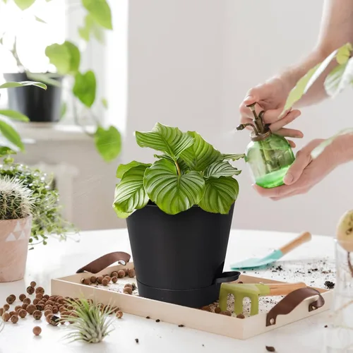 Miniatura 8 de Macetas de riego automático de 8 pulgadas para interiores, paquete de 6 macetas de plástico con agujeros de drenaje, color negro