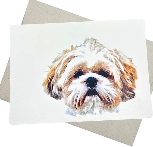 Groomers Margins Shih Tzu - Tarjeta de felicitación (5 x 7 pulgadas, 1 tarjeta, interior en blanco para todas las ocasiones) para cumpleaños,