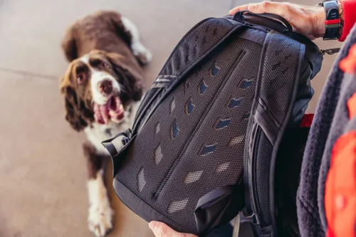 Miniatura 6 de Gregory Nano 16L Unisex Day Hiking/Commuter/Mochila de viaje activo, panel trasero transpirable, puerto de hidratación, tamaño grande, Moab Tan