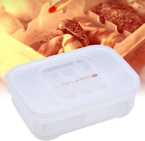 Miniatura 9 de Caja de cría de reptiles, incubadoras de huevos de reptiles de plástico con tapa transparente para eclosionar, lagartos, melena de león, reptiles