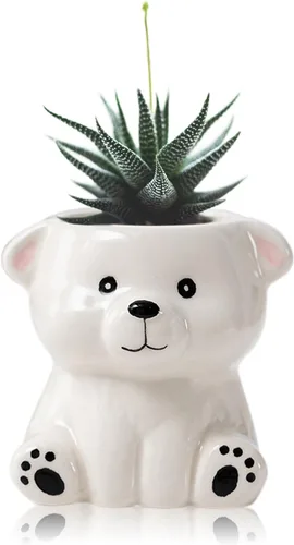 Miniatura 14 de DIYOMR Bonita maceta de animales, mini maceta de cerámica con forma de animal de dibujos animados para suculentas, soporte para plantas de aire