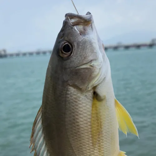 Miniatura 5 de Aberdeen - Ganchos de pesca de Duratin forjados con mango largo de 90 grados, ganchos de pesca bárbaros de acero de alto carbono para agua dulce