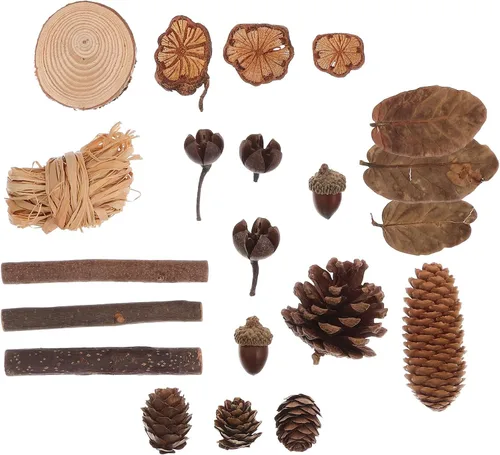 Miniatura 2 de LUOEM Natural Forest - Juego de manualidades para manualidades, conos de pino rústico, hojas secas, adornos para cabina de fotos, decoración