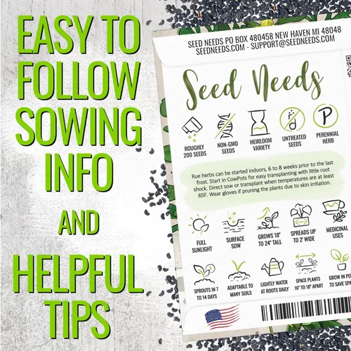 Miniatura 4 de Seed Needs Semillas de Rúe para Plantar Hierbas Medicinales - Semillas Perennes Autóctonas No Transgénicas y Sin Tratar para Cultivar un Jardín