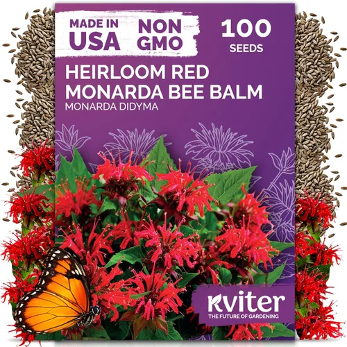 Miniatura 15 de KVITER 1600 semillas de pensamiento de los gigantes suizos para plantar (Viola wittrockiana) - Paquetes de semillas de colores mixtos Flores