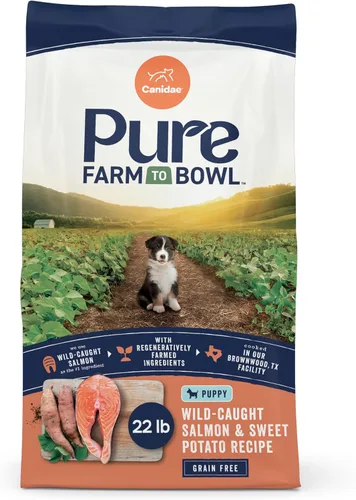 Miniatura 11 de Canidae Pure - Comida seca premium para cachorros con ingredientes limitados, receta de salmón real y avena, 22 libras, con granos sanos