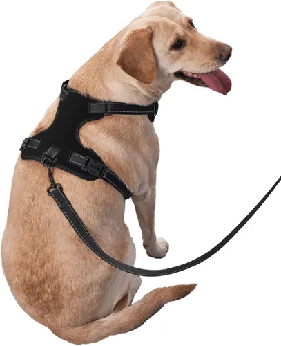 Miniatura 3 de Arnés para perro personalizado con nombre y número de teléfono, chaleco personalizado para perro, arnés reflectante ajustable para mascotas, beige, S