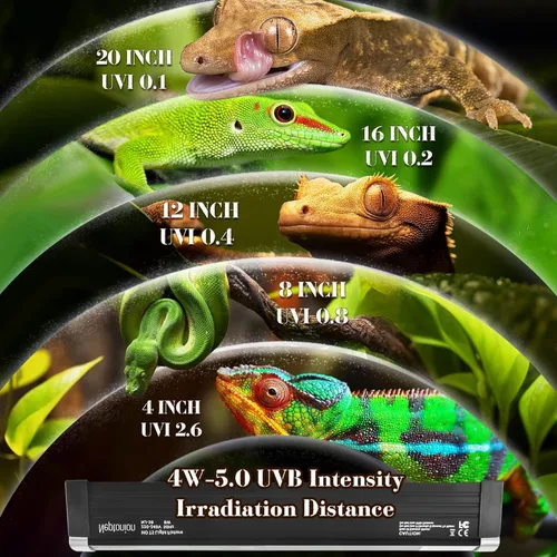 Miniatura 3 de Lámpara UVB T5 para Reptiles de 16.5 cm con Bombilla UVB 5.0 de Alta Salida Cubierta para Terrarios, Reptiles Tomando el Sol, Lagartos, Camaleones