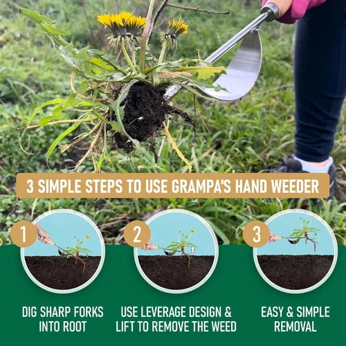 Miniatura 5 de Herramienta de desbrozadora manual de Grampa's – La herramienta perfecta para quitar malas hierbas y jardín – Diseño único duradero de palanca