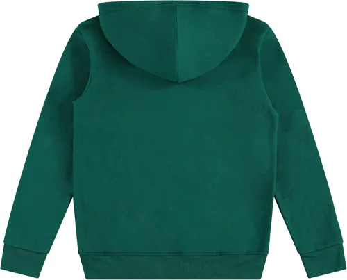 Miniatura 3 de Teenage Mutant Ninja Turtles Conjunto de sudadera con capucha y pantalones deportivos para niños pequeños y grandes, tallas 4-20