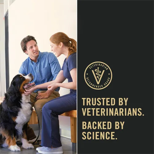 Miniatura 10 de Purina Pro Plan Piel sensible y alimentos para perros estomacales con probióticos para perros, salmón y fórmula de arroz - 30 lb. Bolsa otro