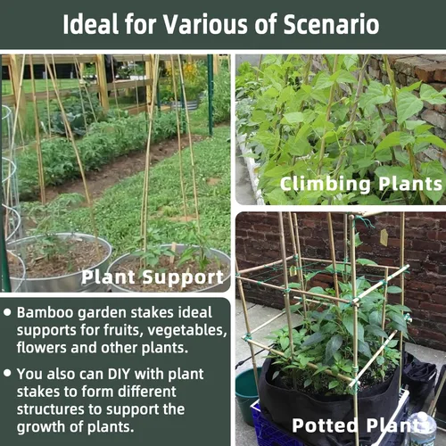 Miniatura 4 de 50 piezas / estacas de bambú de 2 pies para plantas de interior y exterior, palos de soporte para plantas de jardín, postes para tomate, verduras