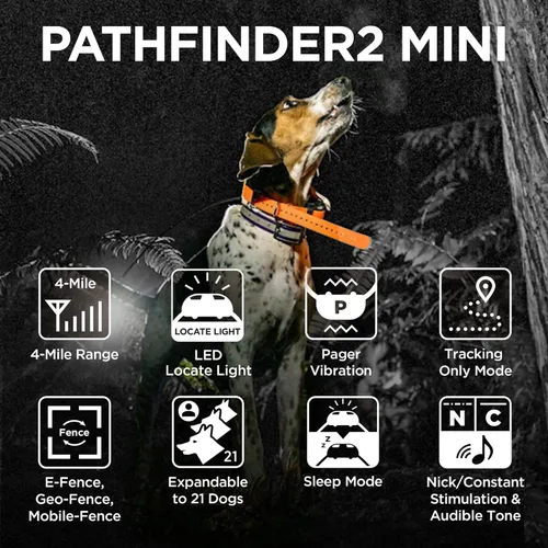 Miniatura 3 de Dogtra PATHFINDER 2 MINI Receptor adicional Perro GPS Tracker e Collar Luz LED Verde Sin tarifas mensuales Aplicación gratuita Impermeable