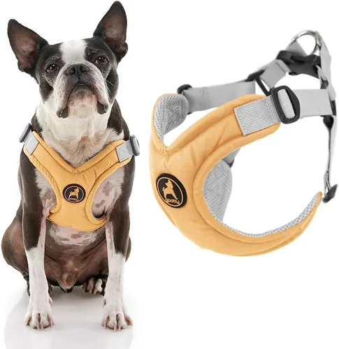 Miniatura 8 de Gooby Arnés de espuma viscoelástica para perros pequeños, sin tirones, con marco en X patentado sin estrangulamiento, perfecto para perros medianos