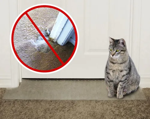 KittySmart Protector de alfombra contra arañazos - Evita que los gatos arañen las alfombras en las puertas instantáneamente - PRECORTE para