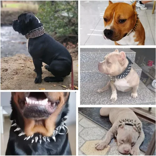 Miniatura 6 de The Mighty Collar Grande con Pinchos y Tachuelas para Perro - Protege el Cuello de tu Perro de Mordeduras, Duradero y Elegante, para Perros Grandes