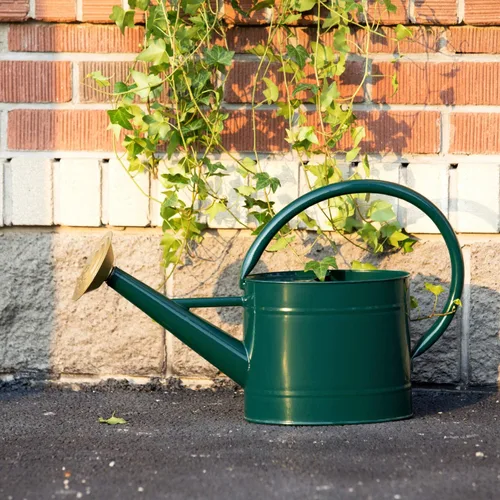 Miniatura 18 de Recipiente para regar plantas de interior y exterior, galvanizada, estilo moderno con asa y rosetón zinc