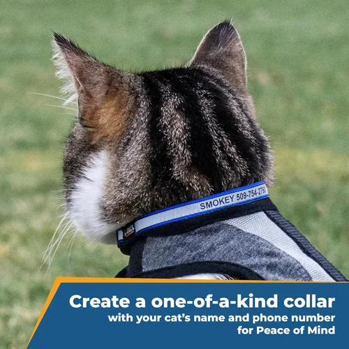 Miniatura 2 de GoTags Collares reflectantes personalizados para gatos, collar de gato personalizado grabado con nombre e identificación de teléfono, collar Rojo