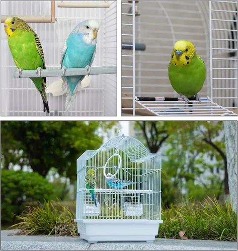 Miniatura 6 de Jaula de viaje para pájaros pequeños, kit de iniciación ligero para pájaros pequeños con jaulas para pájaros y accesorios, excelente