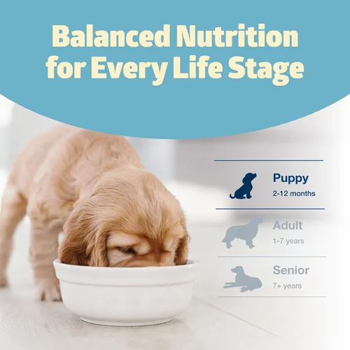Miniatura 8 de Blue Buffalo Freedom - Alimento seco para cachorros sin granos con DHA, nutrición completa y equilibrada para cachorros, fabricado en los Estados