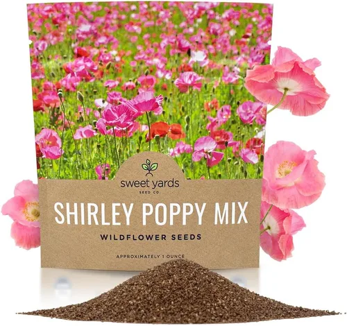 Shirley - Semillas de amapola - Colores mezclados - Paquete extra grande - Más de 200,000 semillas de flores silvestres polinizadas abiertas sin OMG
