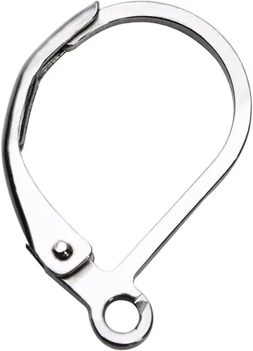 Linsoir Beads Alambre de oreja de acero inoxidable 316 resistente de 0.433 x 0.630 in, paquete de 20 unidades Rodio