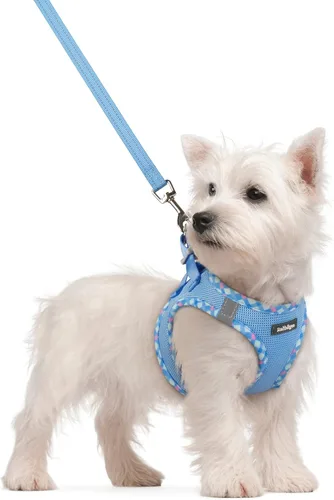 Miniatura 64 de rabbitgoo Juego de arnés para perro de tamaño pequeño y correa, chaleco ligero suave para cachorro, arnés de malla transpirable para mascotas