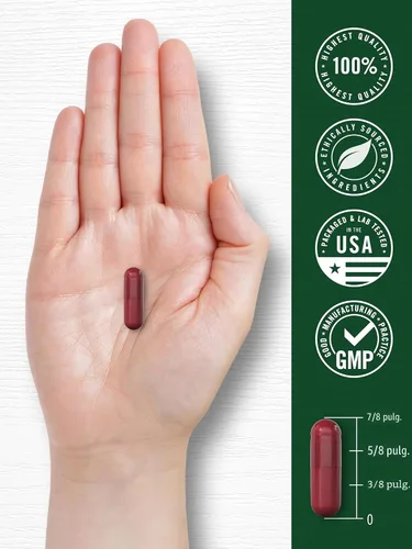 Miniatura 7 de Carlyle Cápsulas de raíz de remolacha 8000 mg 120 unidades Suplemento sin OGM y sin gluten