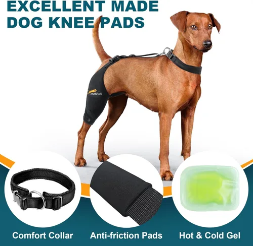 Miniatura 5 de Rodillera para perro para pierna trasera desgarrada del ligamento cruzado anterior, compresión caliente/fría para luxación de rótula u